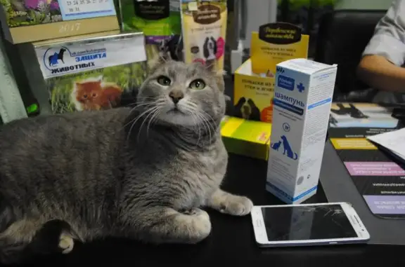 Dобрый Dоктор, ветеринарная клиника