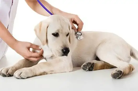 Санкт-Петербургская городская станция по борьбе с болезнями животных, Калининский район