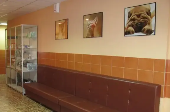 Волгоградский ветеринарный центр хирургии и травматологии