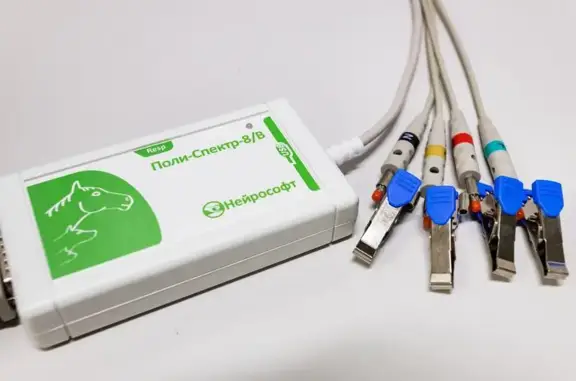 Арника, ветеринарная клиника