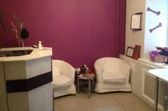 Зоосалон для домашних животных Мотильда в Западном округе