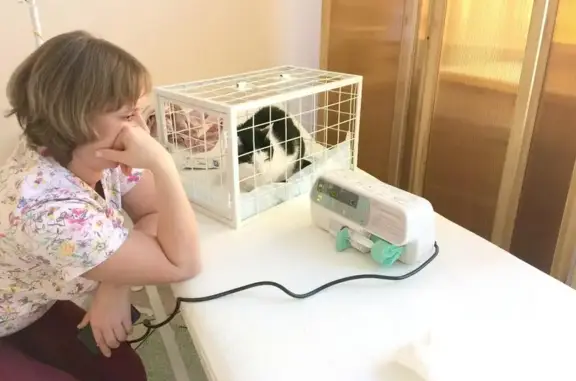 Вет эксперт, ветеринарная клиника