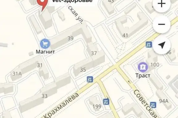 Ветеринарный кабинет на Советской улице, 95/1