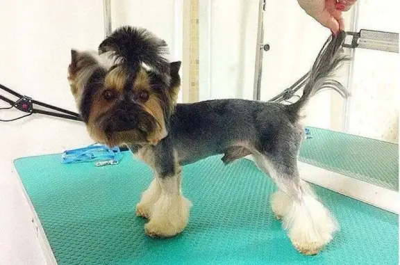 Зоосалон Милана на Солнцевском проспекте