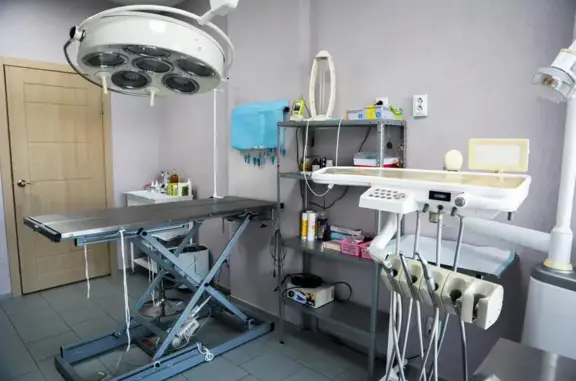 Доктор Кусь