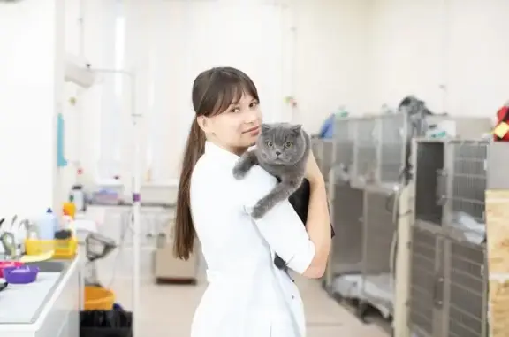 Прайд, ветеринарный многопрофильный центр