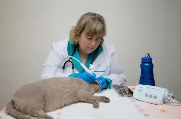 Ветеринарная клиника Весниной Зинаиды Юрьевны на улице Веселовского, 42