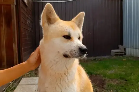 Гостиница для собак DogDays на улице им. Исаева Н.В.