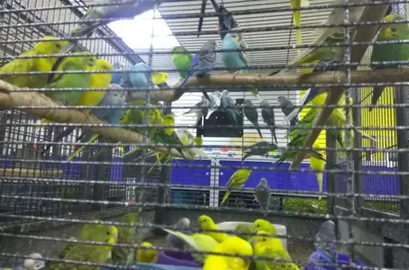 Зооландия, ветеринарная клиника