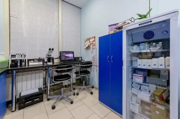 Вега, ветеринарная клиника