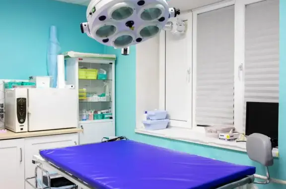 Ветеринарный центр Айболит на улице Фрунзе в Бору