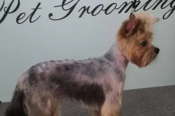 Иркутский аграрный техникум, учебная ветеринарная клиника