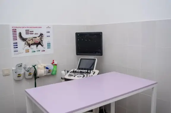 Движение, ветеринарная клиника