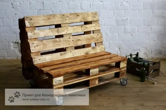 Муниципальный приют для животных Щербинка