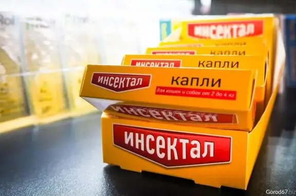 ДоброВет, ветеринарная клиника