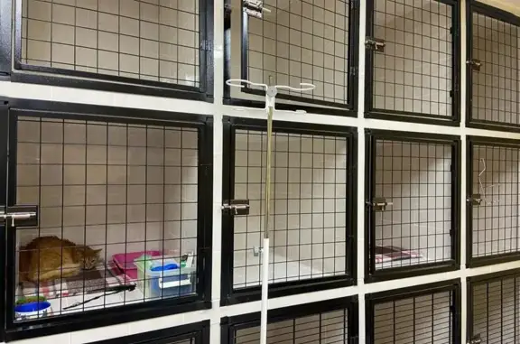 Зооцентр 9 жизней