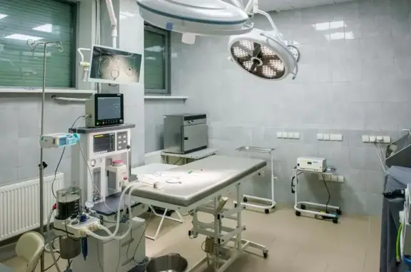 Ветеринарная клиника С-вет на Троицкой улице в Мытищах