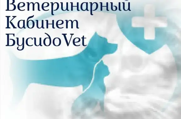 Бусидоvet, ветеринарный кабинет