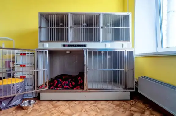 Zooзабота, ветеринарная клиника