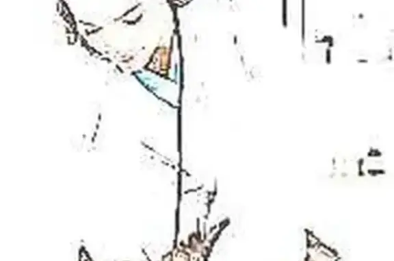 Спасатель, ветеринарный центр