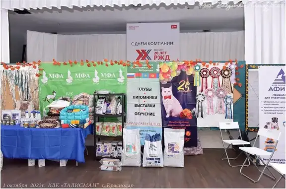 Клуб любителей кошек Талисман в Яблоновском