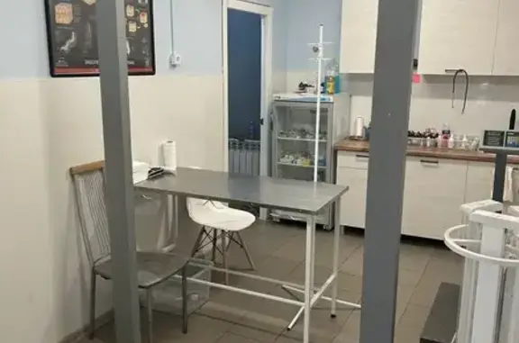 Ветеринарная клиника Вилль-Вет на проспекте Победы