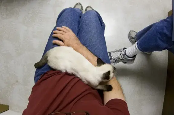 АльфаВет, ветеринарная клиника