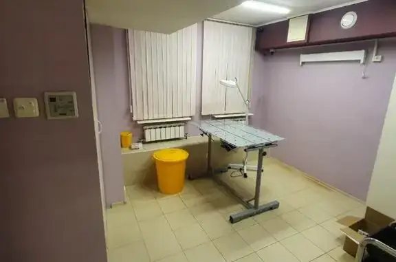 Здоровые лапки, ветеринарная клиника