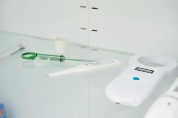 ЛапЛандия, ветеринарный диагностический центр