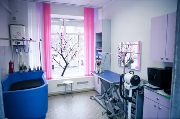 Зоосалон Lady Dog на улице Суворова