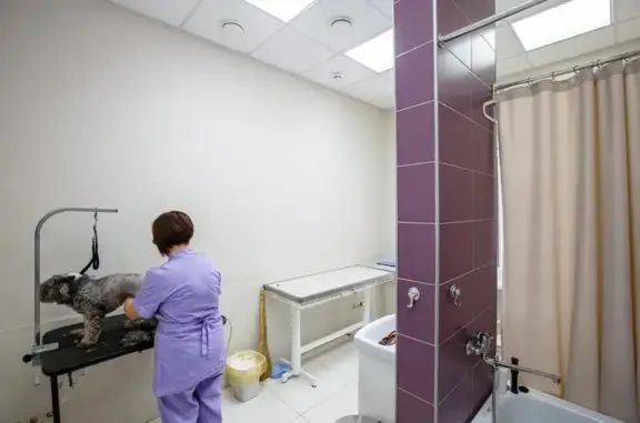 Клиника ветеринарной медицины доктора Птицына на улице Юлиуса Фучика