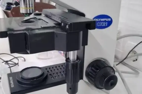 Ашера, ветеринарный центр