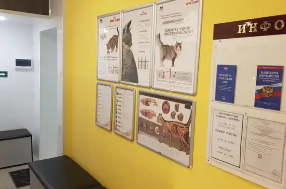 ЖИЗНЬ, ветеринарная клиника