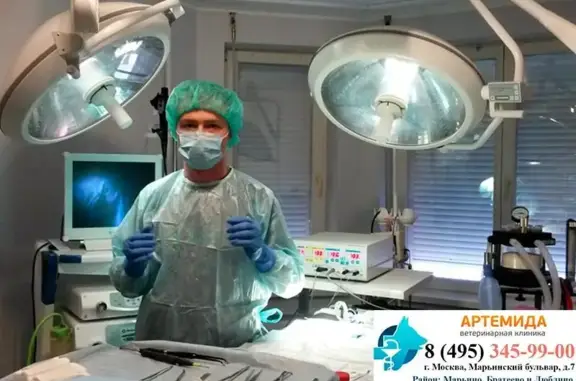 Артемида, ветеринарная клиника