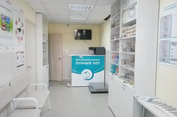 Ветеринарная клиника Лунный кот