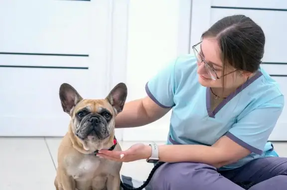 Зооленд, ветеринарный центр