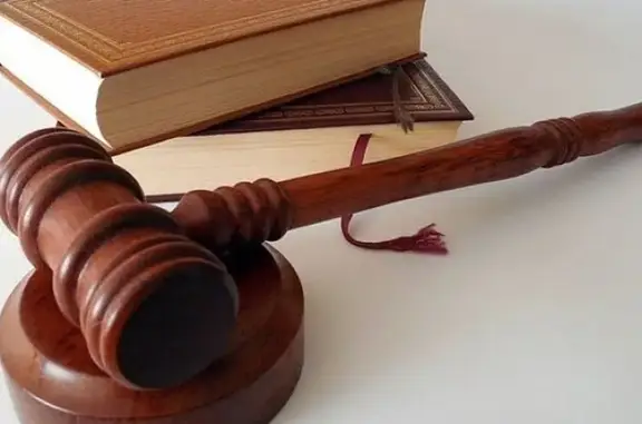 Sakhvet, ветеринарная клиника