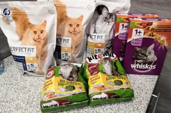 Приют для бездомных животных Ржевка в Красногвардейском районе