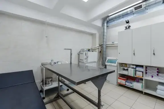 Багира, ветеринарная клиника