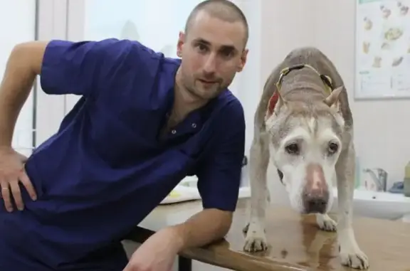 Альмавет, ветеринарный центр