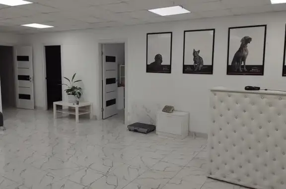 Питомец, ветеринарная клиника