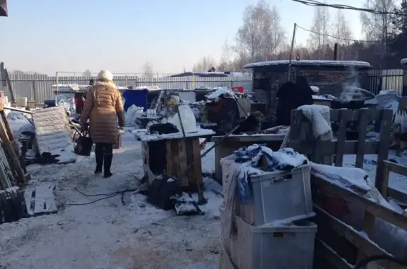 Приют для животных Я живой