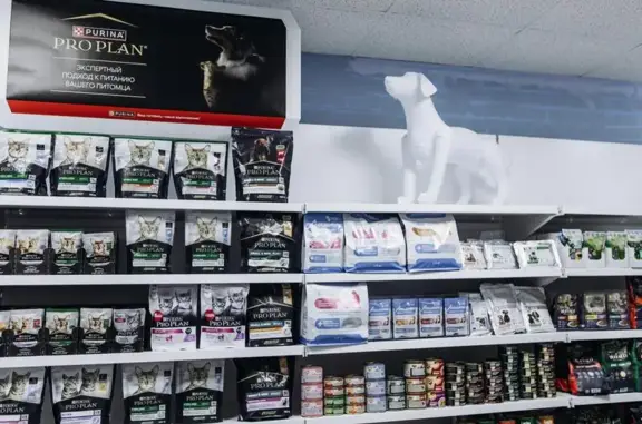 Ветеринарная клиника Bad Cat`s