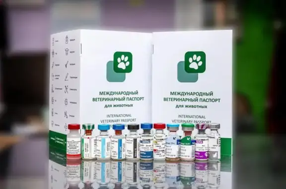 CatVetDog, ветеринарная клиника