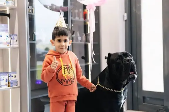 Груминг-салон Happy Pet на Глухой Зелениной улице, 6