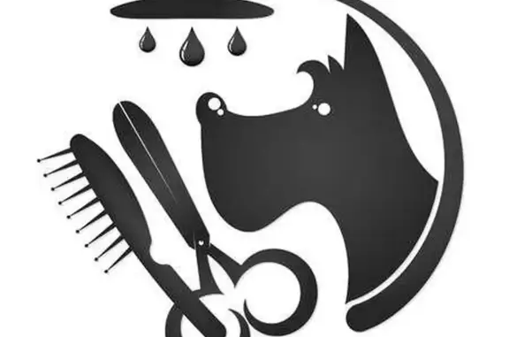 Студия стрижки домашних животных Алекса