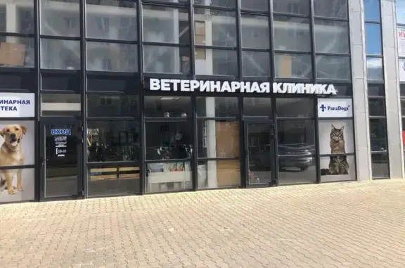 ParaDogs, ветеринарная клиника