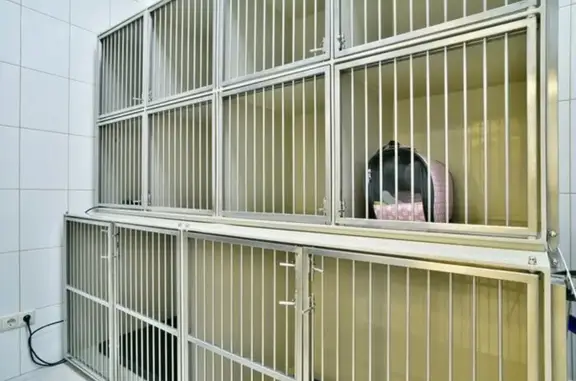 Балу, ветеринарная клиника