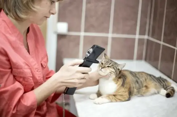 Ветеринарная клиника доктора Чигаевой на Подлесной улице