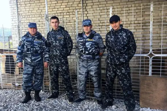 Кинологическая служба